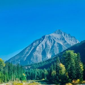 Meet your Posher, Annie